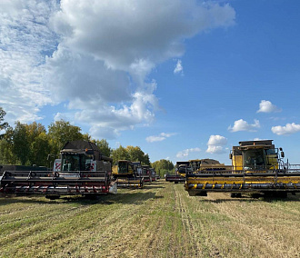 Новосибирские аграрии запаслись топливом к уборочной страде