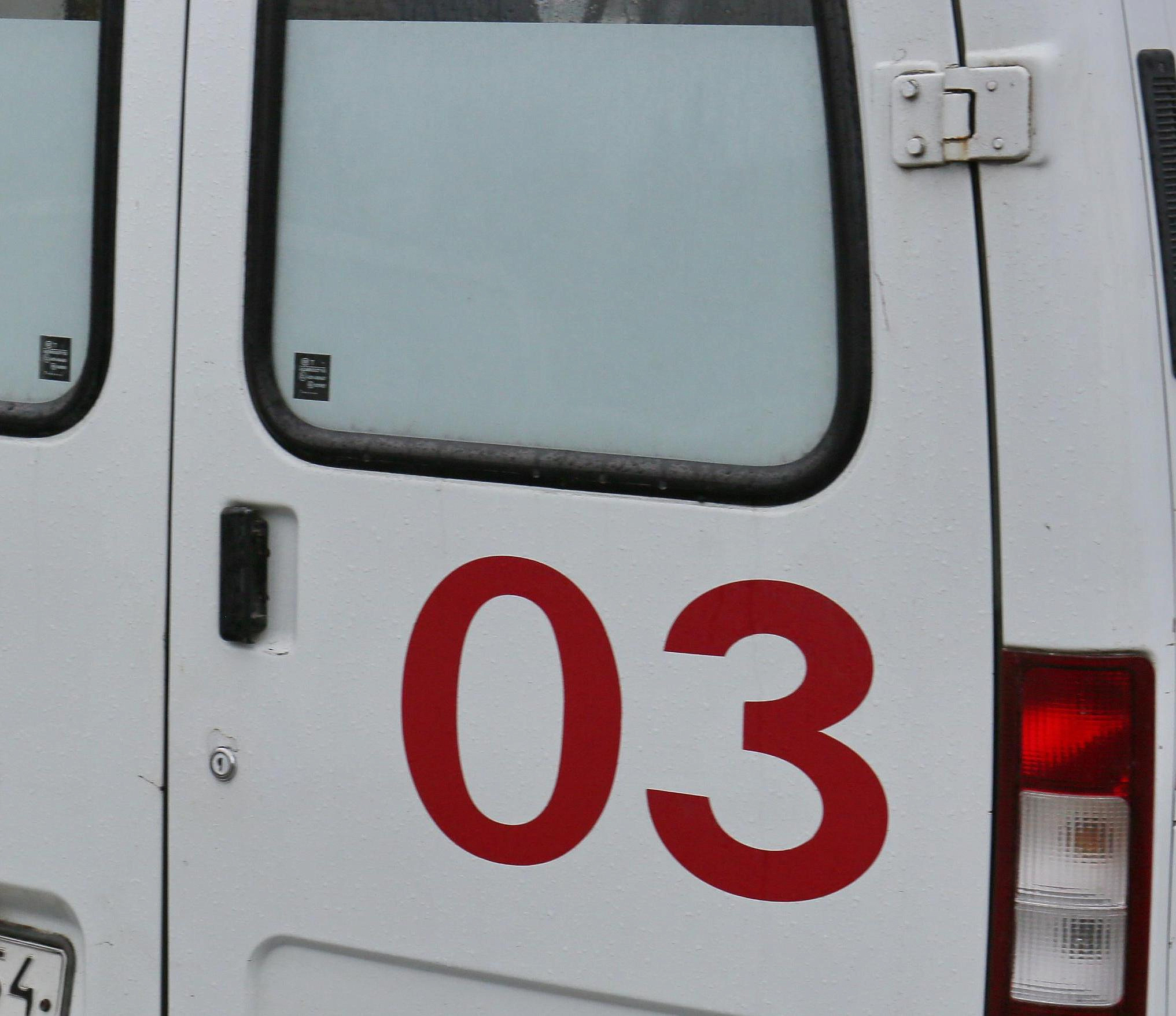 Двое детей выжили в автокатастрофе под Новосибирском (18+)