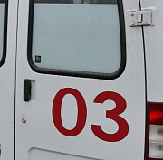 Двое детей выжили в автокатастрофе под Новосибирском (18+)