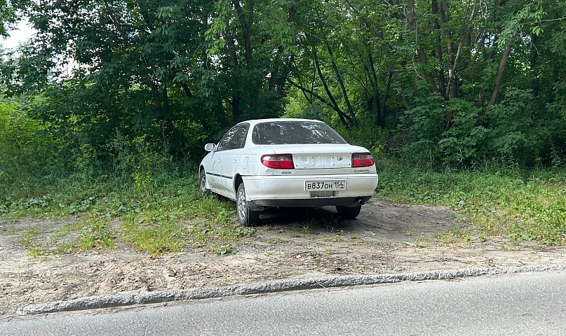 240 автохамов поймала на газонах Первомайки система «ПаркНет»
