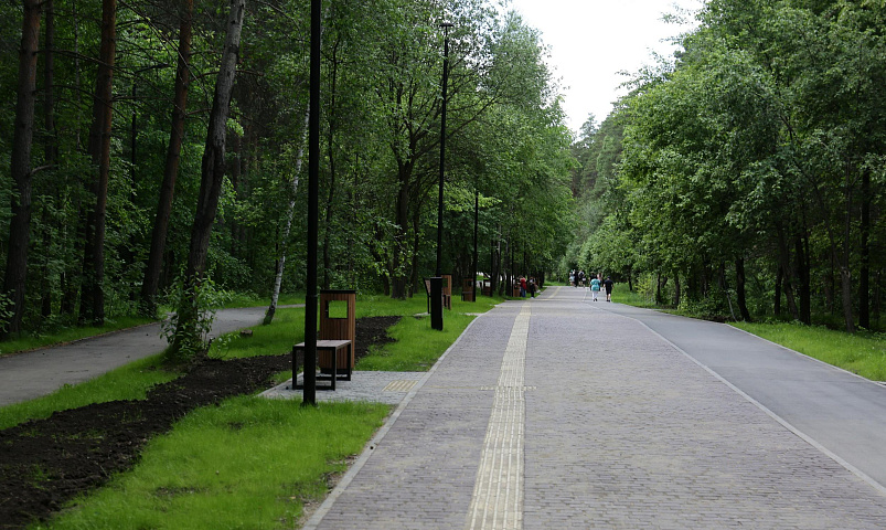 Паблик-ток о тактическом урбанизме проведут в Заельцовском парке