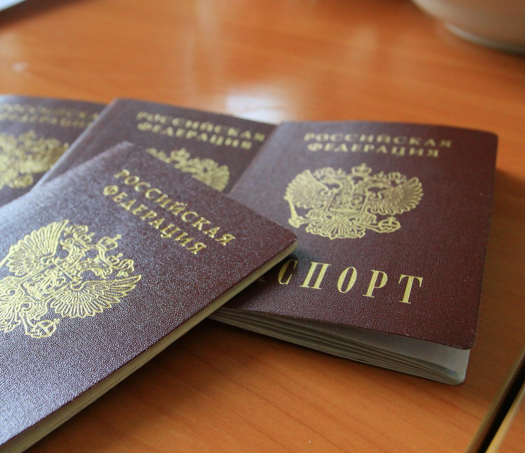 QR-код вместо паспорта разрешат показывать новосибирцам