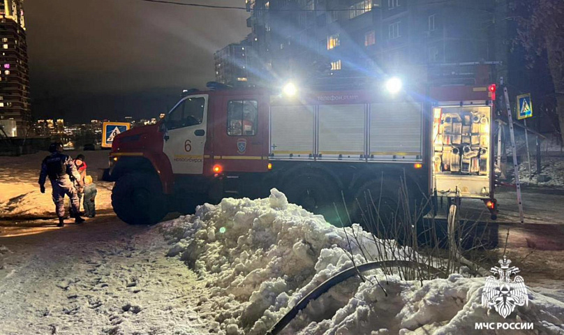 В Новосибирске за неделю потушили 27 пожаров, один из них устроила собака