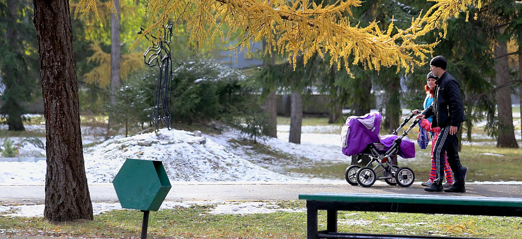Зима подождёт: тепло до +4 градусов прогнозируют синоптики в Новосибирске