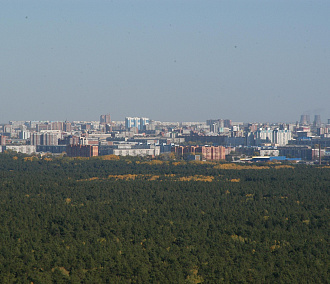 На создание лесного и природного парков в Новосибирске выделили 4,5 млн