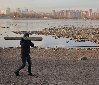 Время убирать листья: как в Новосибирске прошёл осенний субботник