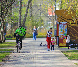 Курьеры и таксисты: топ самых денежных рабочих профессий в Новосибирске