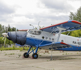 Сразу 10 маленьких самолётов прилетят из Италии в Новосибирск этим летом
