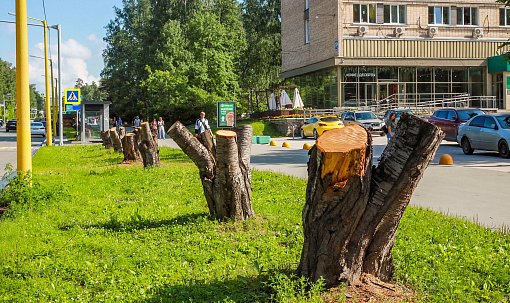 На аллее улицы Ильича убрали пни и начали замену грунта