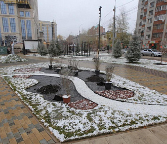 Погибшим от коронавируса врачам в Новосибирске хотят поставить памятник