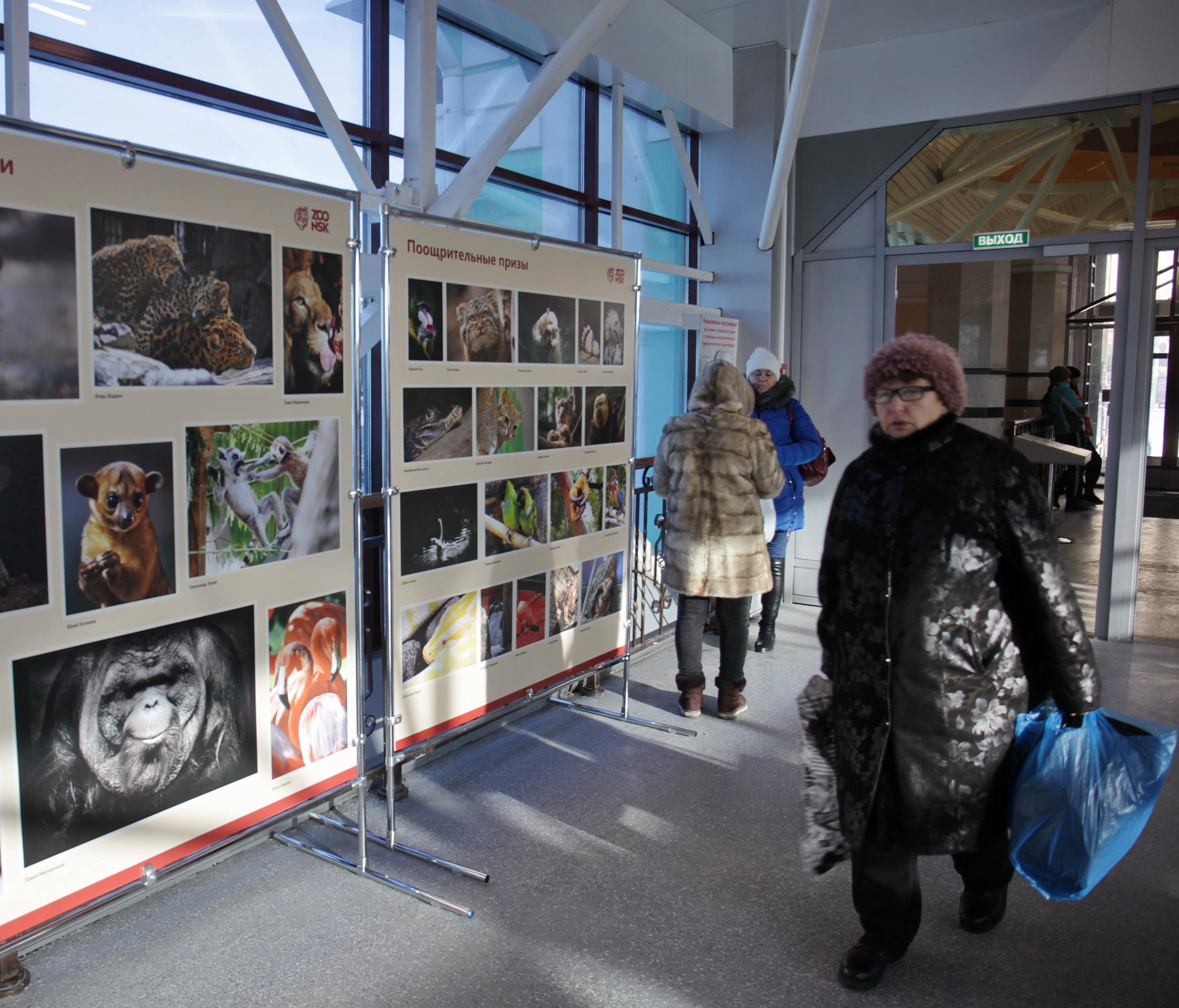Выставку с портретами животных открыли на вокзале в Новосибирске