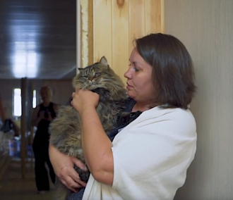 В сети вышел фильм о тех, кто спасает бездомных животных в Новосибирске