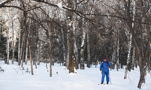 Лыжную трассу открыли в новосибирском парке «Бугринская роща»