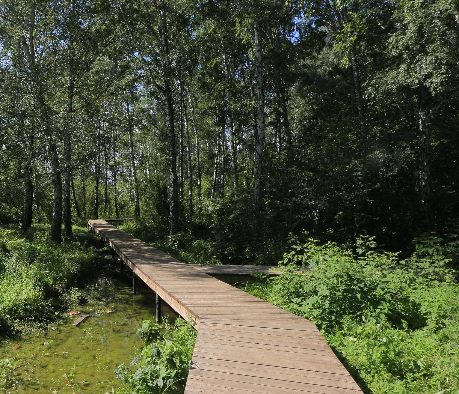 Парк «Каменка» в Новосибирске достроят к концу 2026 года