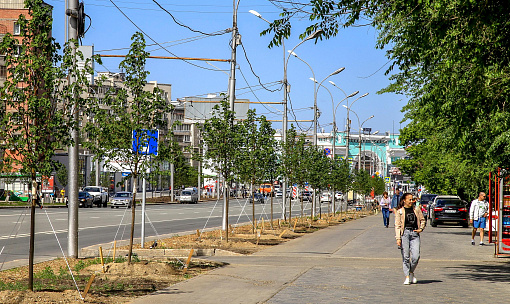 Светлана Гижицкая: «Комфорт на улицах создают растения»