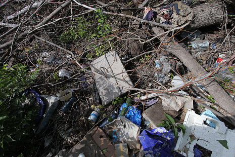 15 незаконных мусорных свалок обнаружили в Новосибирской области