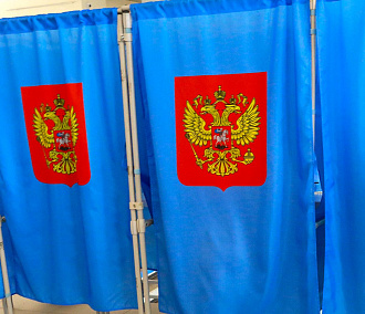 Почти 200 тысяч новосибирцев проголосовали дистанционно