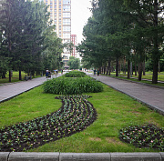 Федеральные деньги могут привлечь на благоустройство Нарымского сквера