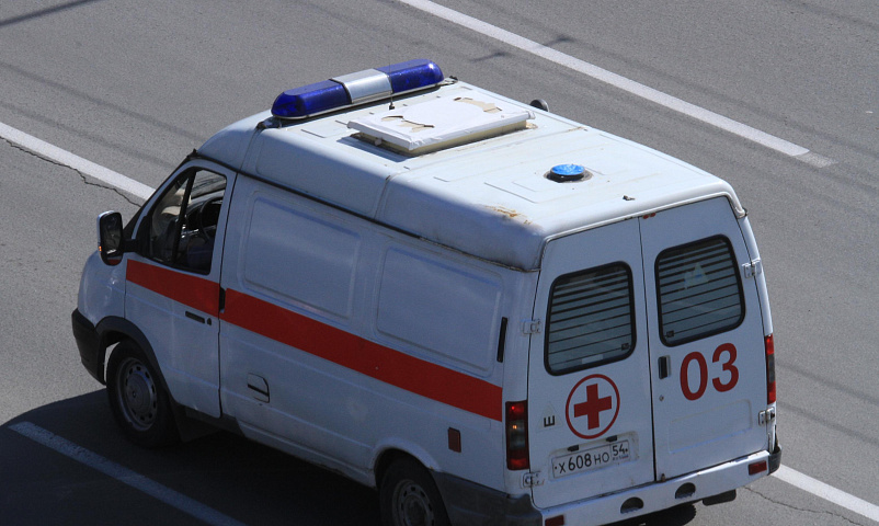 Дерево рухнуло на 25-летнего новосибирца на улице Новогодней