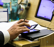 Закон о бродячих животных в Новосибирске приняли в первом чтении