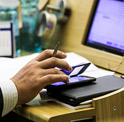 Закон о бродячих животных в Новосибирске приняли в первом чтении