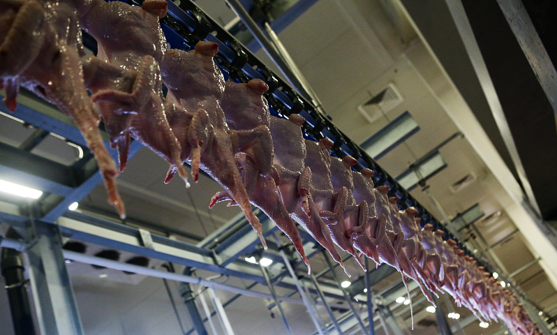 Дефицит курятины в Новосибирске прокомментировал минпромторг региона