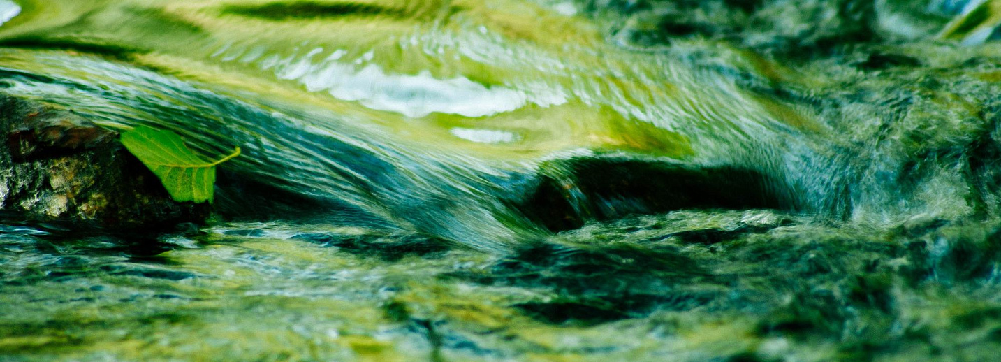 Густые зеленые воды