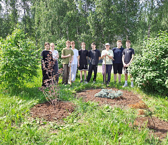 Лучшую клумбу от юных цветоводов выбрали в Новосибирске