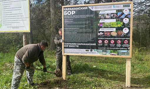 Теперь не заблудишься: в Караканском бору появились таблички-указатели