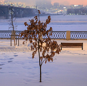 Морозы в Новосибирске встанут на паузу на выходных