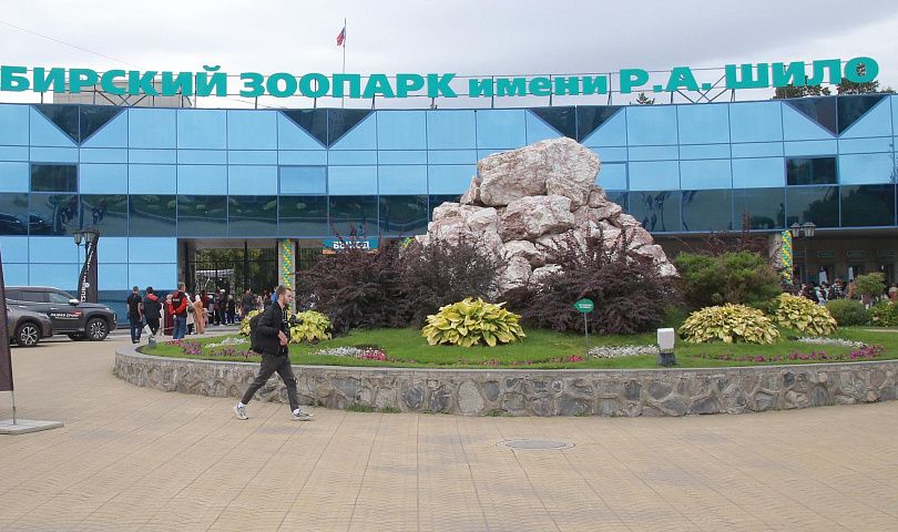 Новосибирский зоопарк обменялся мармозетками с коллегами из Калуги