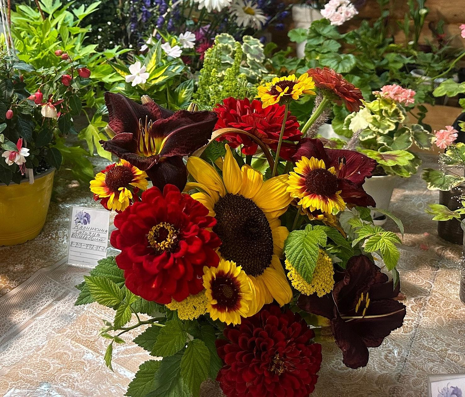 Буйство флоксов и лилий: цветы июля выставили в «Дачной академии»