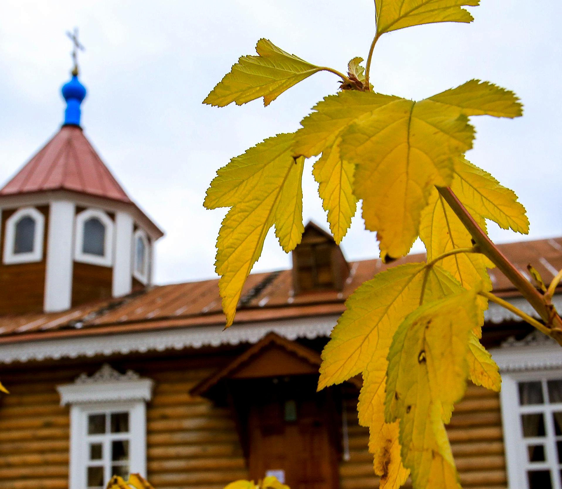 Афиша Новосибирска: куда сходить в среду, 22 октября