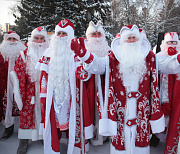 Хоббихорсинг и гринчеринку предлагают аниматоры новосибирцам на Новый год