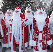 Хоббихорсинг и гринчеринку предлагают аниматоры новосибирцам на Новый год