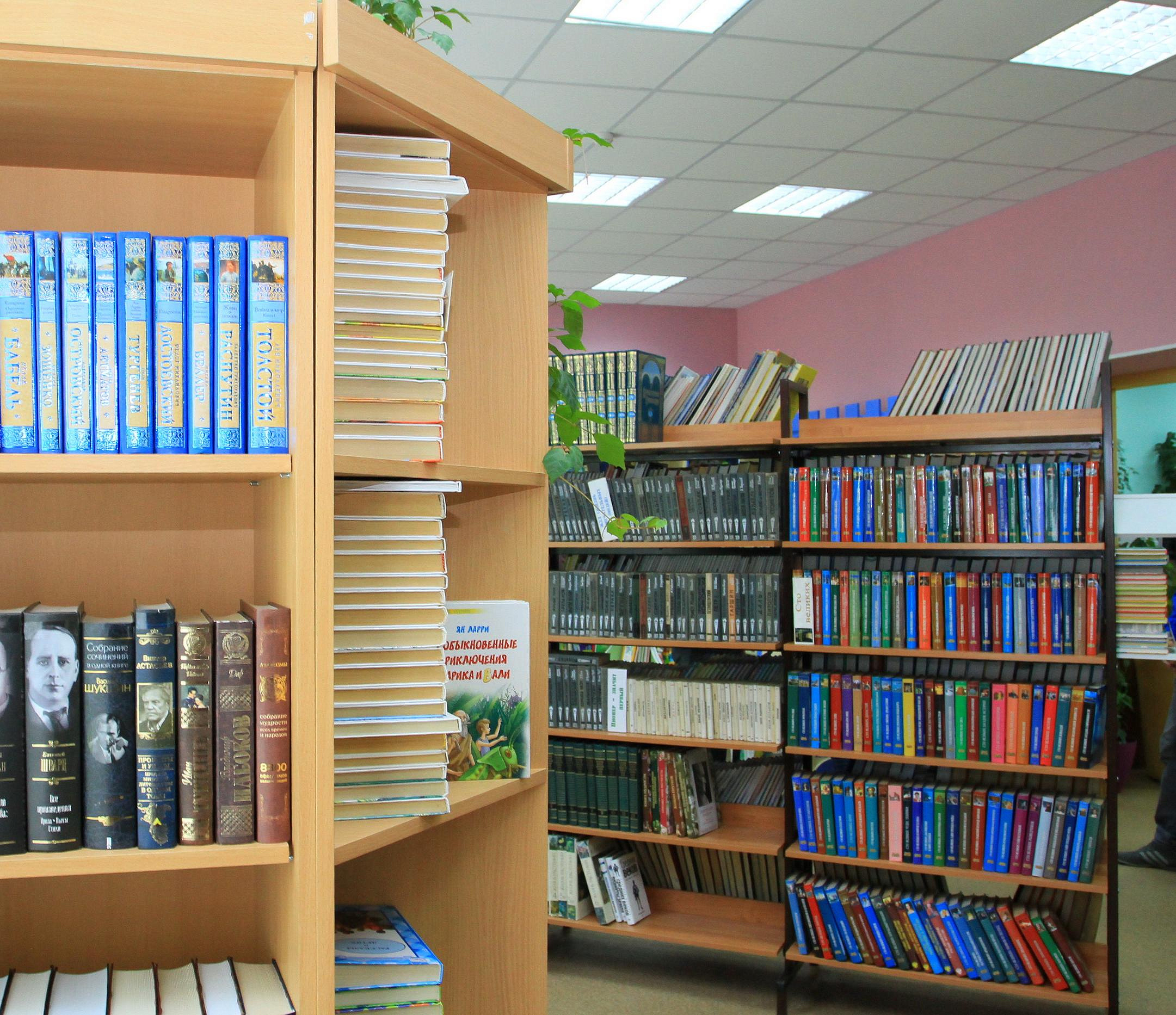 848 библиотек насчитали в Новосибирской области