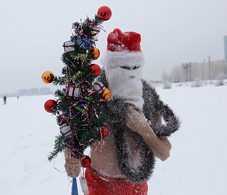Сколько стоит заказать Деда Мороза на дом в Новосибирске
