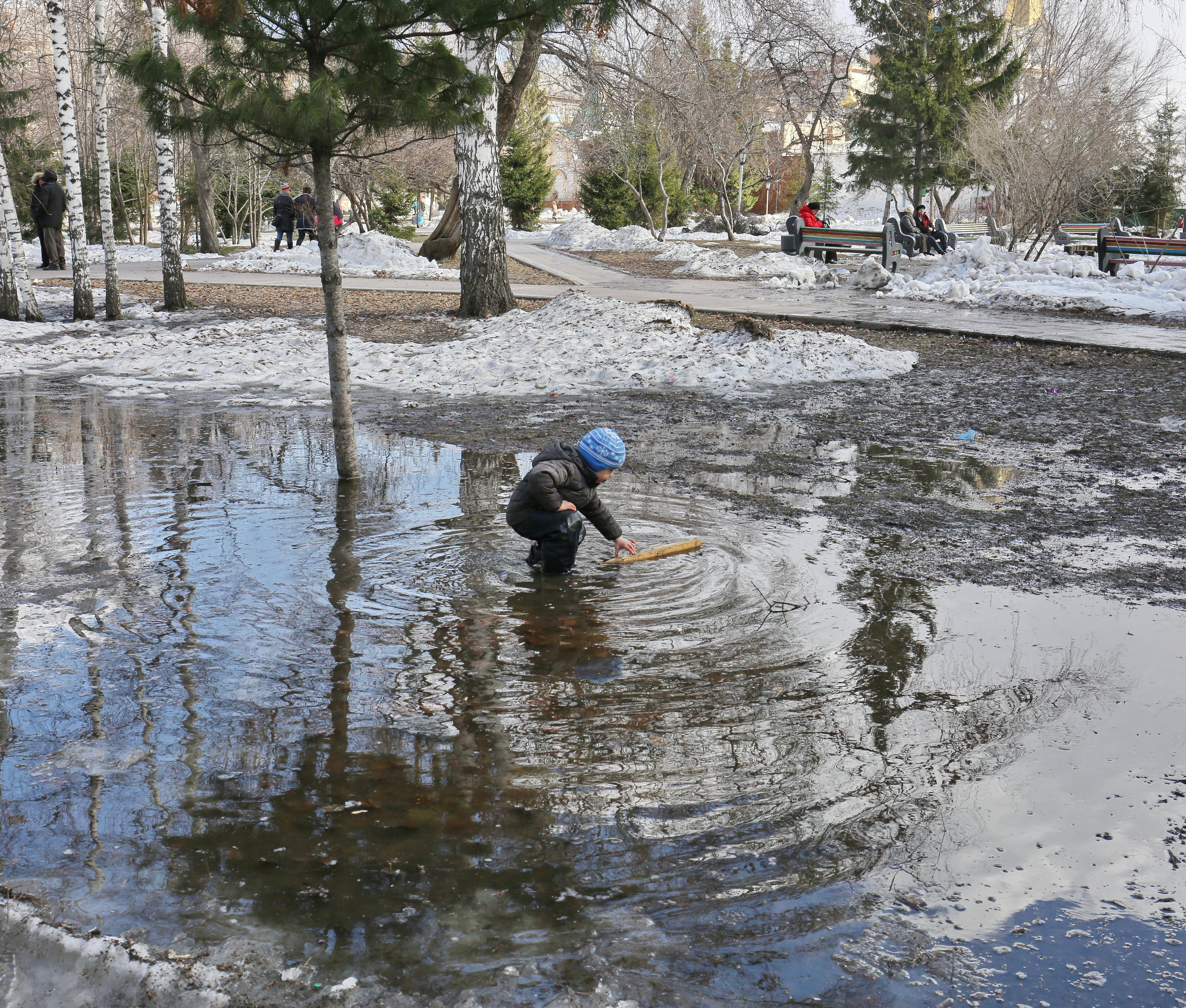 Похолодание проскользит по Новосибирску в середине недели
