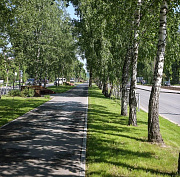 Газон, тротуар и скамейки: как преображается улица Эйхе