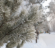 Холодный фронт с северных широт принесёт в Новосибирск 24-градусный мороз