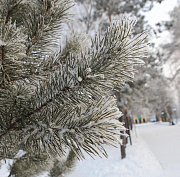 Холодный фронт с северных широт принесёт в Новосибирск 24-градусный мороз