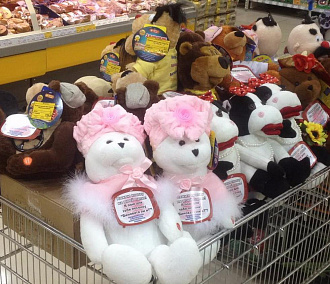 «А Борька бабник!»: поющие игрушки появились в магазинах Новосибирска
