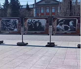 Уличную выставку к 80-летию Победы открыли у Монумента Славы