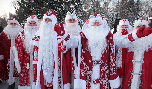 Хоббихорсинг и гринчеринку предлагают аниматоры новосибирцам на Новый год