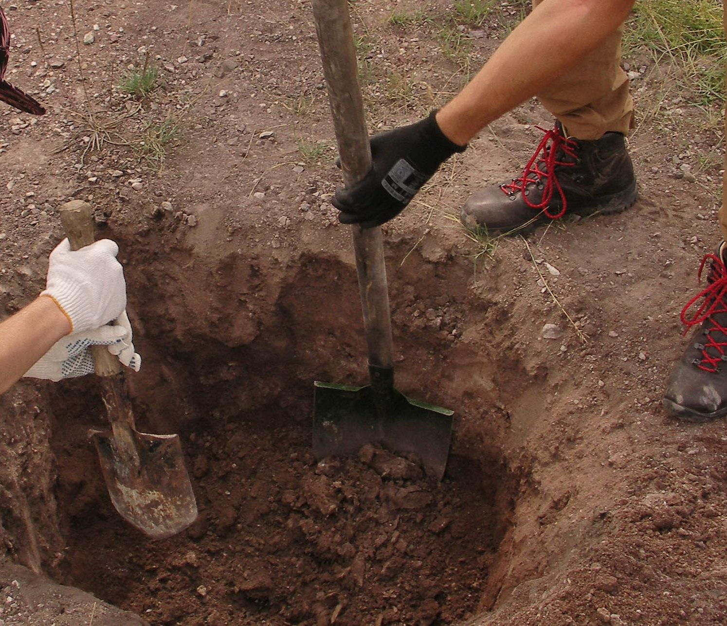 Владельцы коттеджей делают грядки на древних курганах под Новосибирском