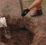 Владельцы коттеджей делают грядки на древних курганах под Новосибирском
