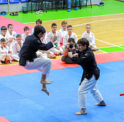 Приёмами джиу-джитсу и айкидо блеснули «Звёзды Сибири»: фото с фестиваля