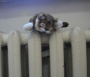 Батареи в квартирах новосибирцах стали греть сильнее с приходом морозов