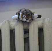 Батареи в квартирах новосибирцев стали греть сильнее с приходом морозов