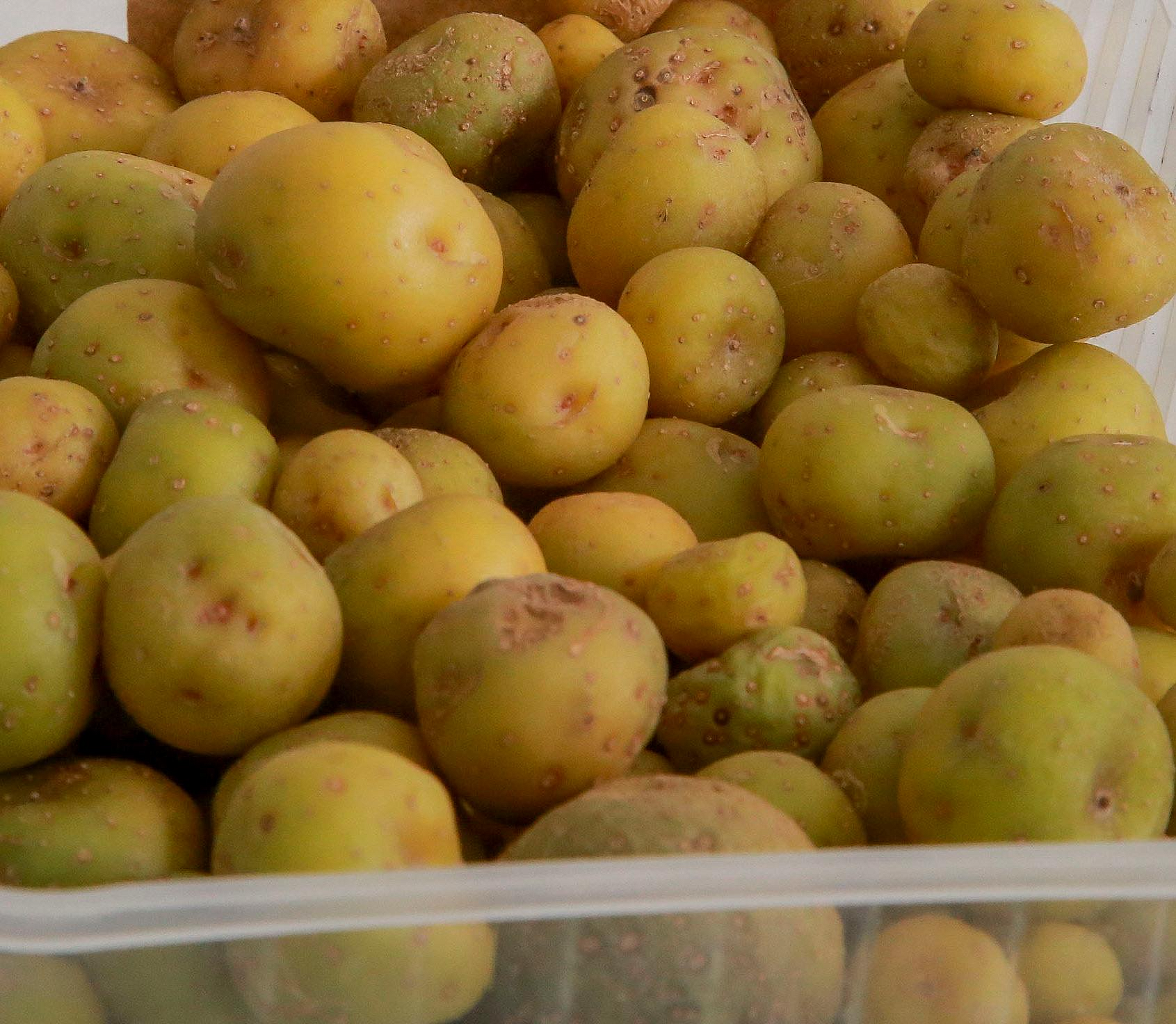 Полезные картофельные чипсы с гумусом запатентовали новосибирские учёные